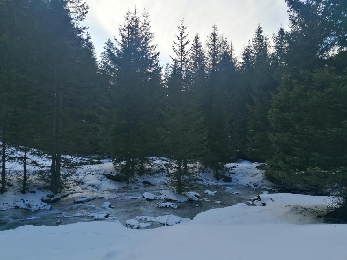 Ferienwohnungen Unterangerhof Quinzo Luaran gambar
